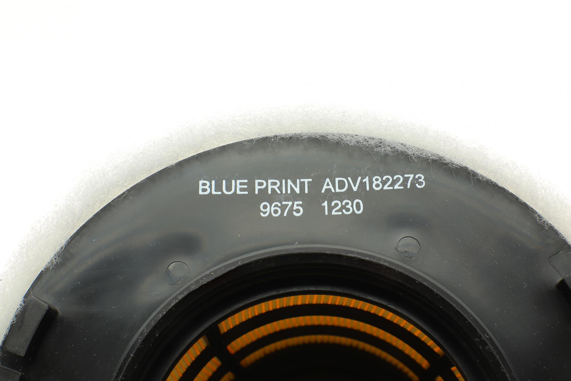 ADV182273 BLUE PRINT